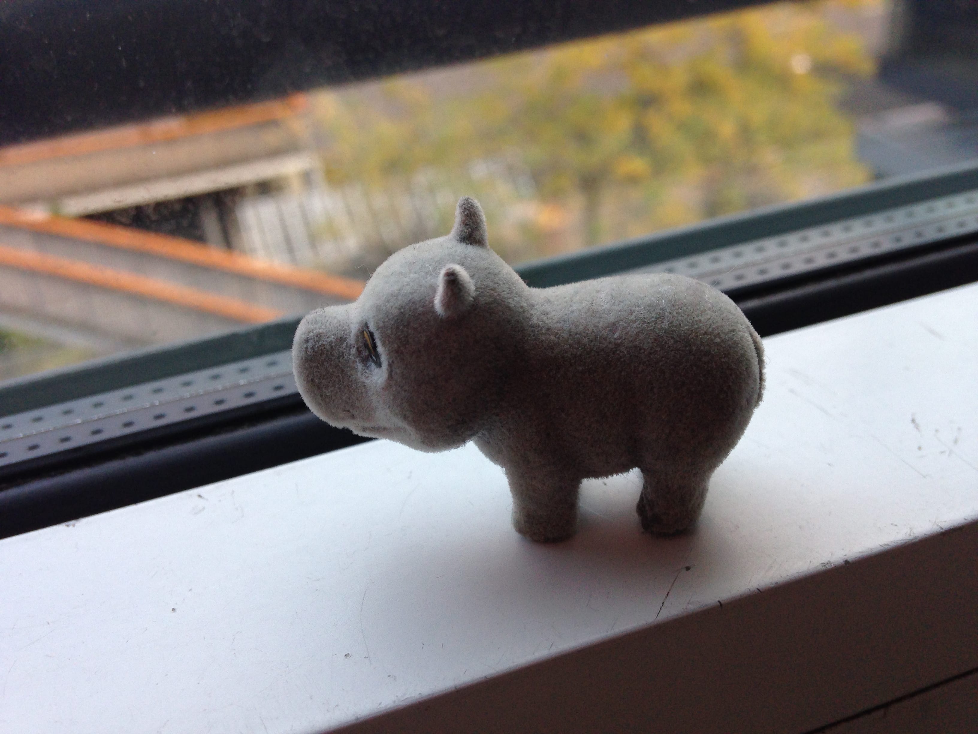 This tiny toy hippo was given to my son one Sunday afternoon by an elderly lady who came out of her house to say 'hello' to us as we made our way back from the playground. I've walked down this side street a million times but had never spoken anyone from that row of houses until then.