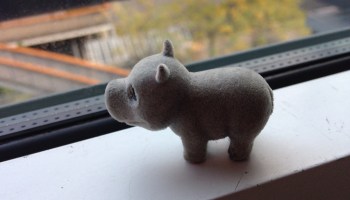 Revisiting nowhere in particular?