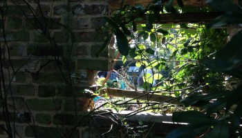 What do we mean by 'circuits of social action'? (A first stab of many, no doubt...)