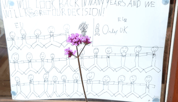 Whose voices are heard? Towards a more comprehensive ‘Brexit’ picture