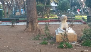Photo/Stories from the field: A dog's statue (and the story behind it)